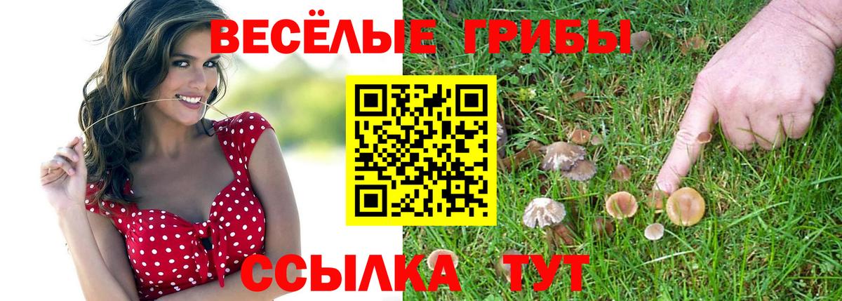 Псилоцибиновые грибы мицелий  Псилоцибиновые грибы Magic Shrooms  Вход с VPN  Москва 